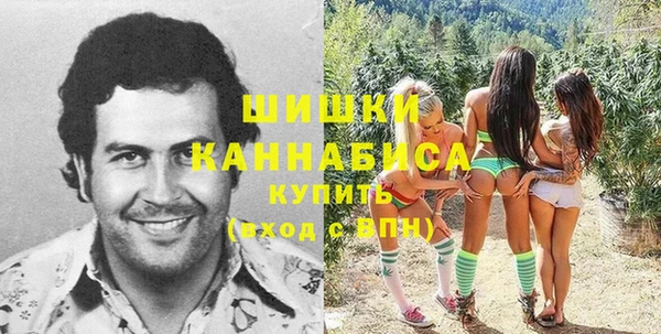 apvp Белая Холуница