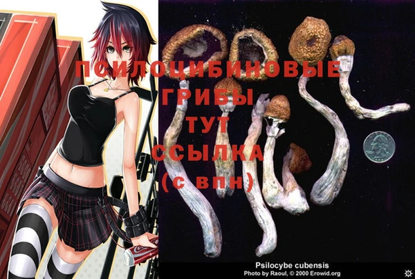 мяу мяу мука Алзамай