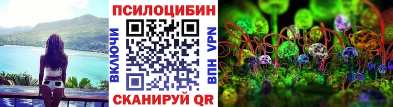 сколько стоит  Лангепас  Псилоцибиновые грибы Cubensis 