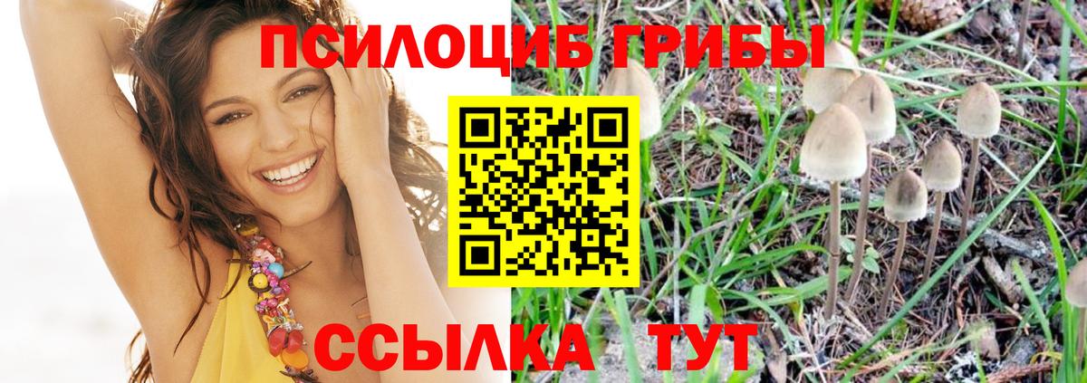 Псилоцибиновые грибы MAGIC MUSHROOMS Лангепас