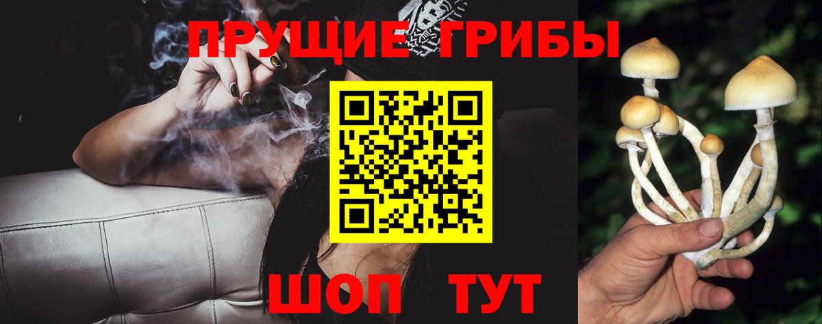 хочу   Псилоцибиновые грибы мухоморы  Вход с VPN  Псилоцибиновые грибы Cubensis  Лангепас 